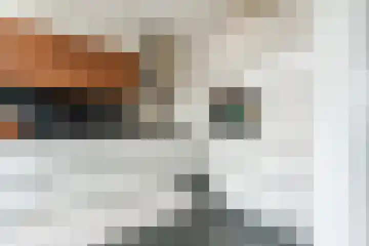 Frans van Mierisstraat 15 Papendrecht thumbnail 10