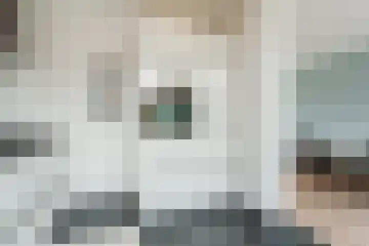 Frans van Mierisstraat 15 Papendrecht thumbnail 11