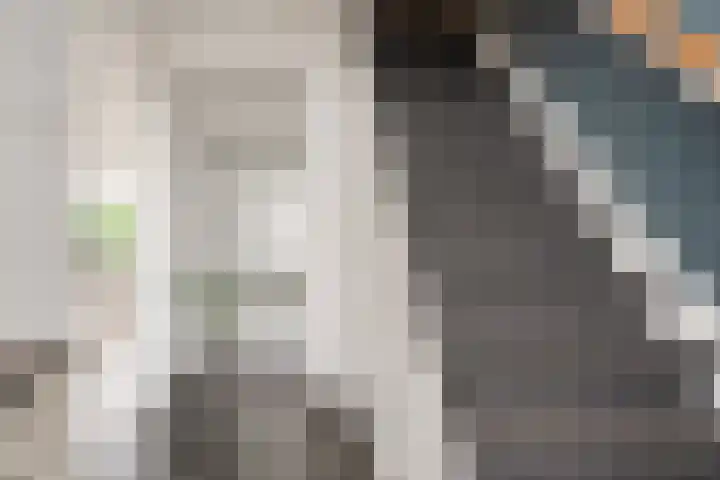 Frans van Mierisstraat 15 Papendrecht thumbnail 12