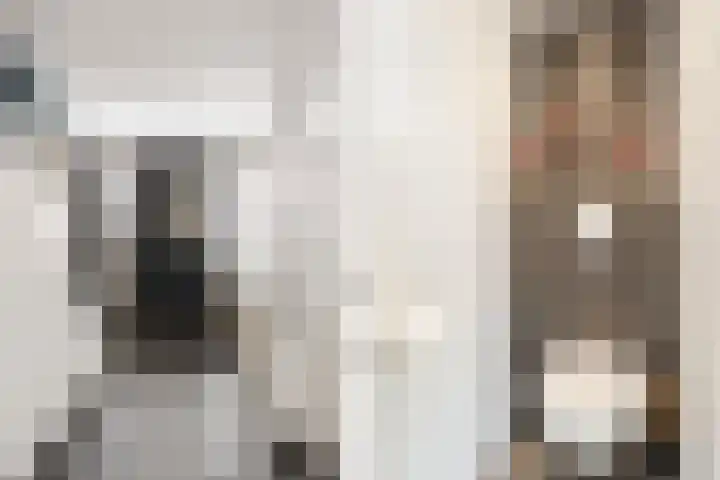 Frans van Mierisstraat 15 Papendrecht thumbnail 13