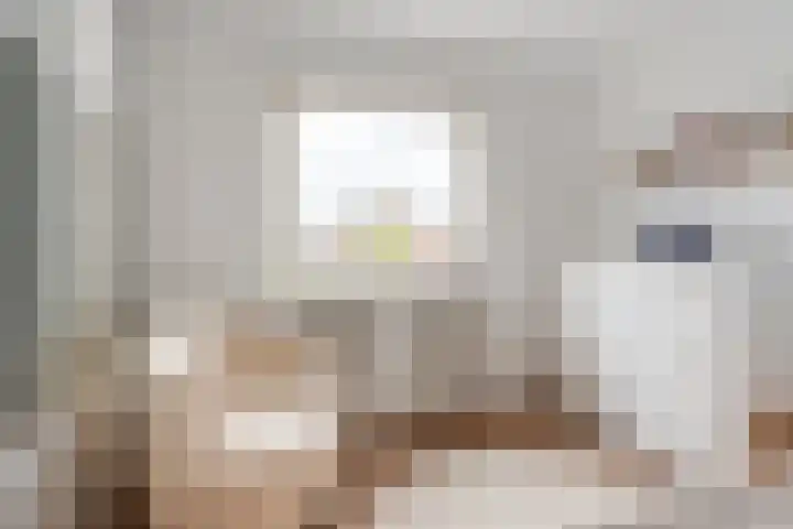 Frans van Mierisstraat 15 Papendrecht thumbnail 17