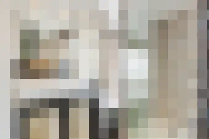 Frans van Mierisstraat 15 Papendrecht thumbnail 23