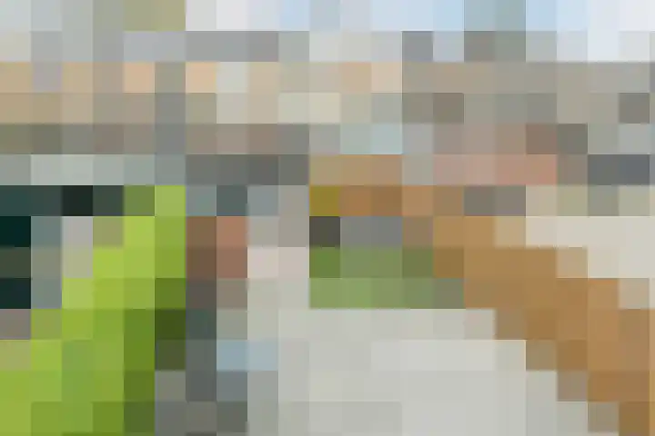 Frans van Mierisstraat 15 Papendrecht thumbnail 26
