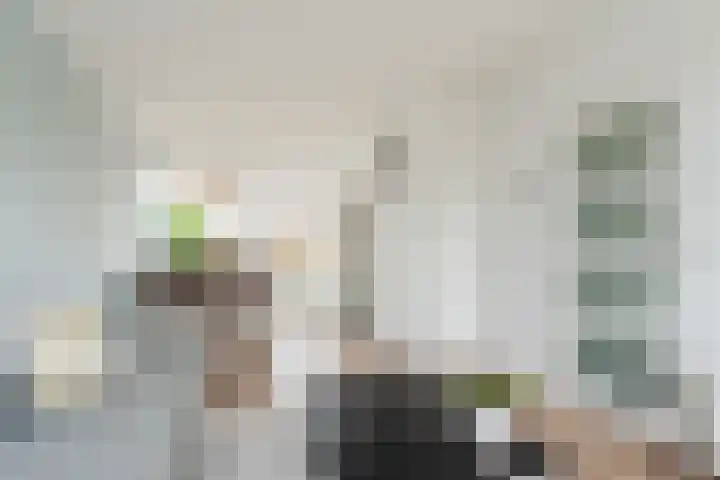 Frans van Mierisstraat 15 Papendrecht thumbnail 4