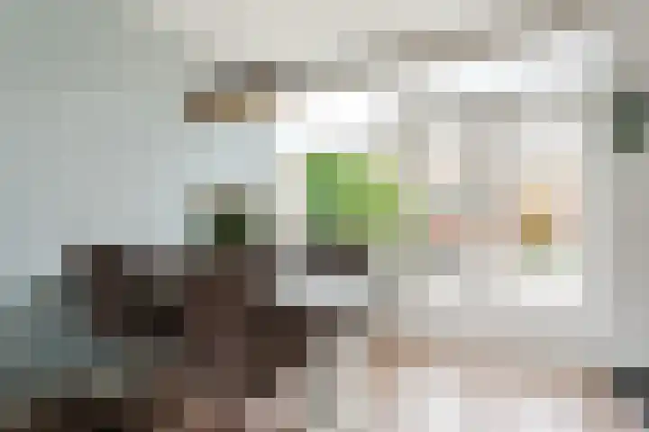 Frans van Mierisstraat 15 Papendrecht thumbnail 6
