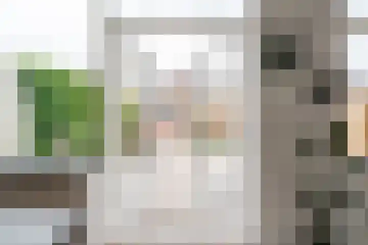 Frans van Mierisstraat 15 Papendrecht thumbnail 7