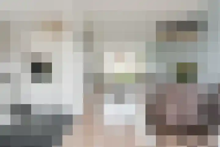 Frans van Mierisstraat 15 Papendrecht thumbnail 8