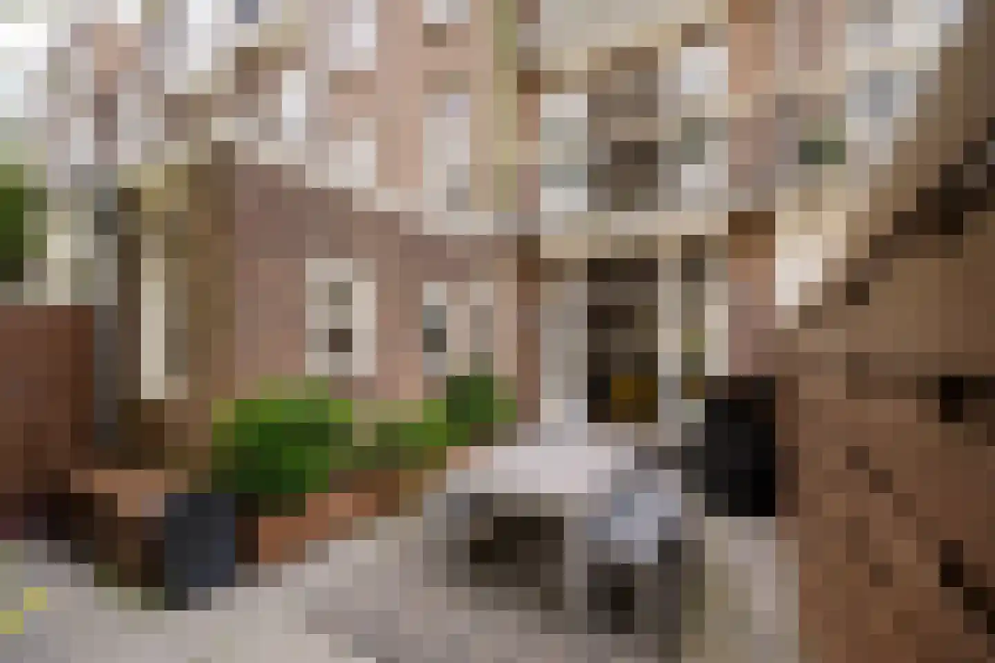 Frans van Mierisstraat 18 2 Amsterdam thumbnail 22