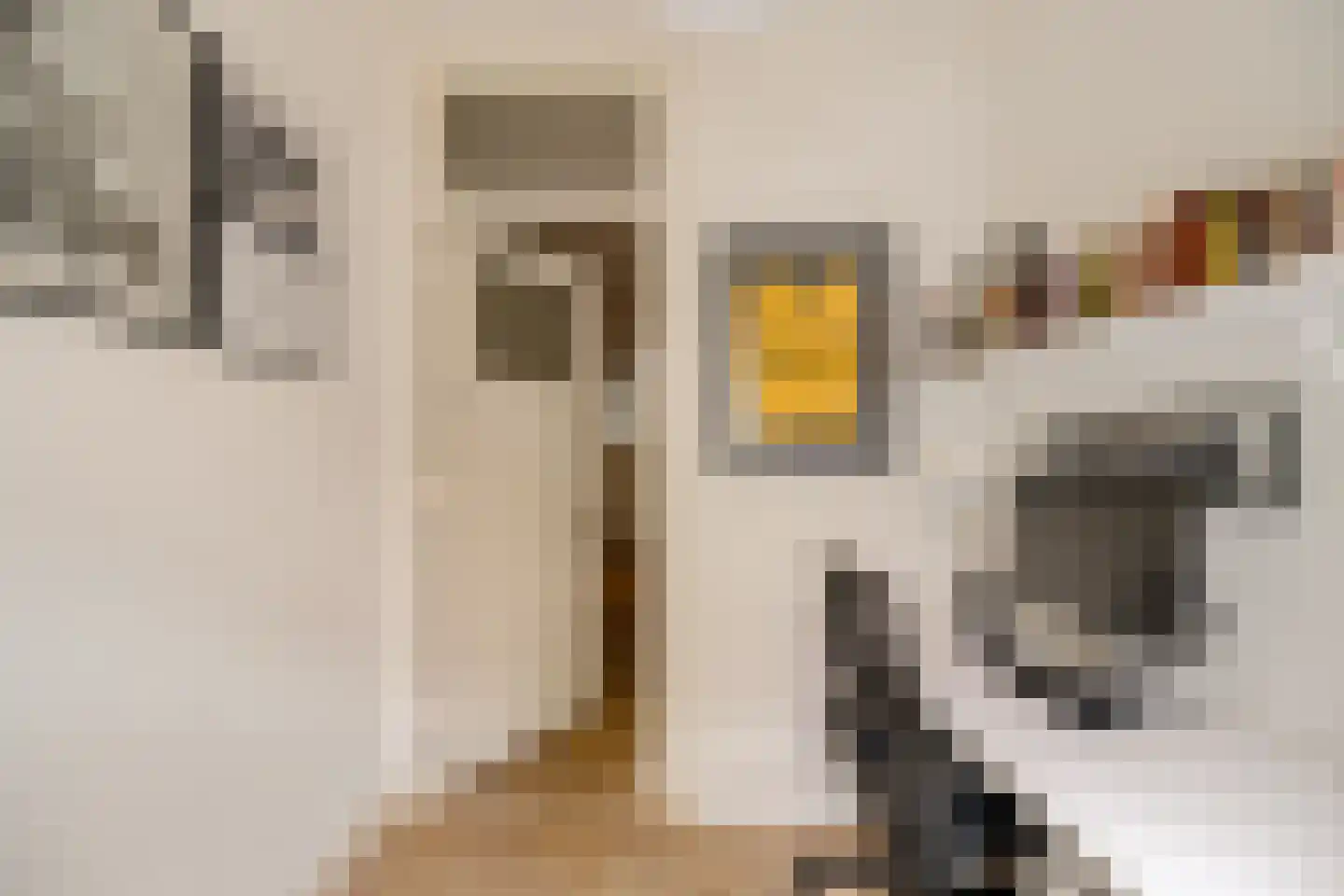 Frans van Mierisstraat 18 2 Amsterdam thumbnail 39
