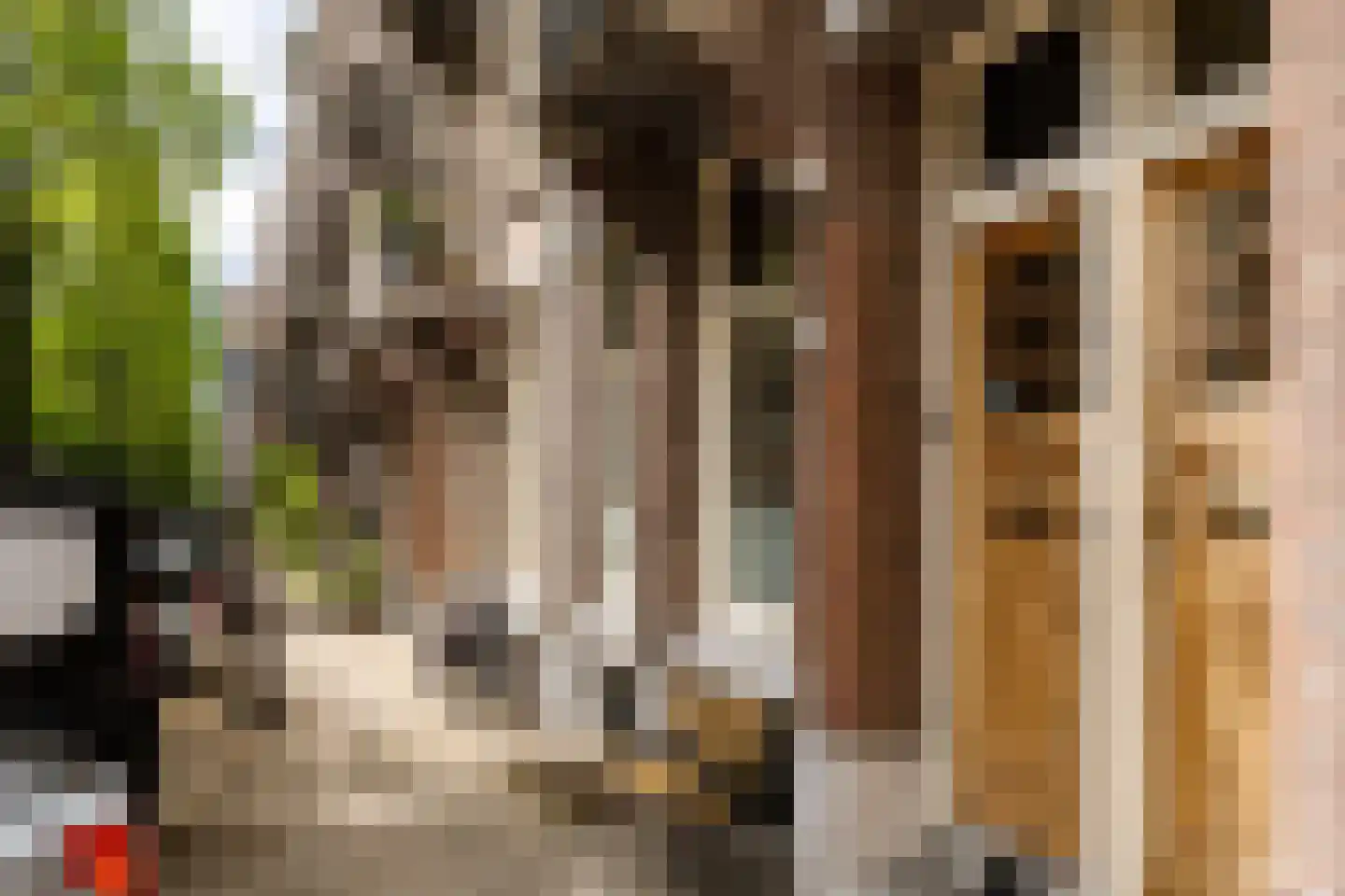Frans van Mierisstraat 18 2 Amsterdam thumbnail 52