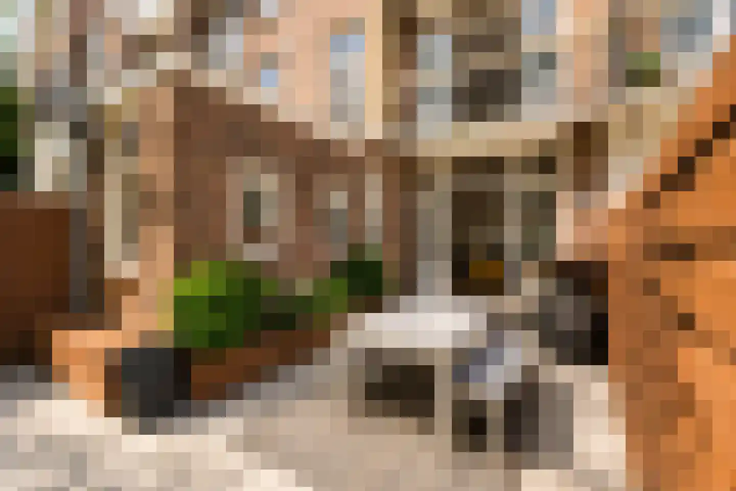 Frans van Mierisstraat 18 H Amsterdam thumbnail 22