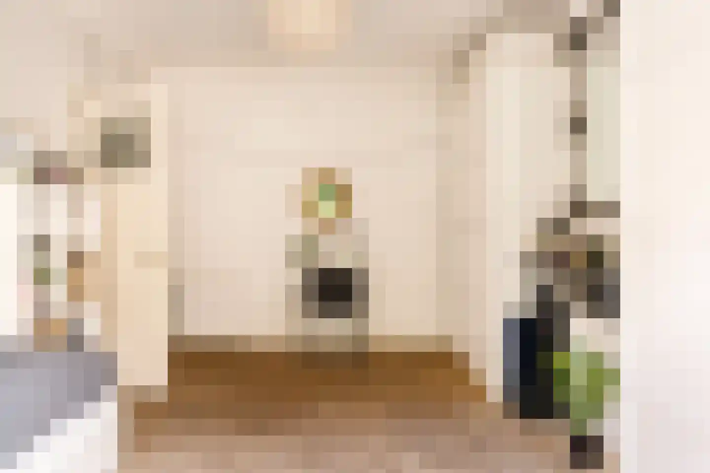 Frans van Mierisstraat 18 H Amsterdam thumbnail 32
