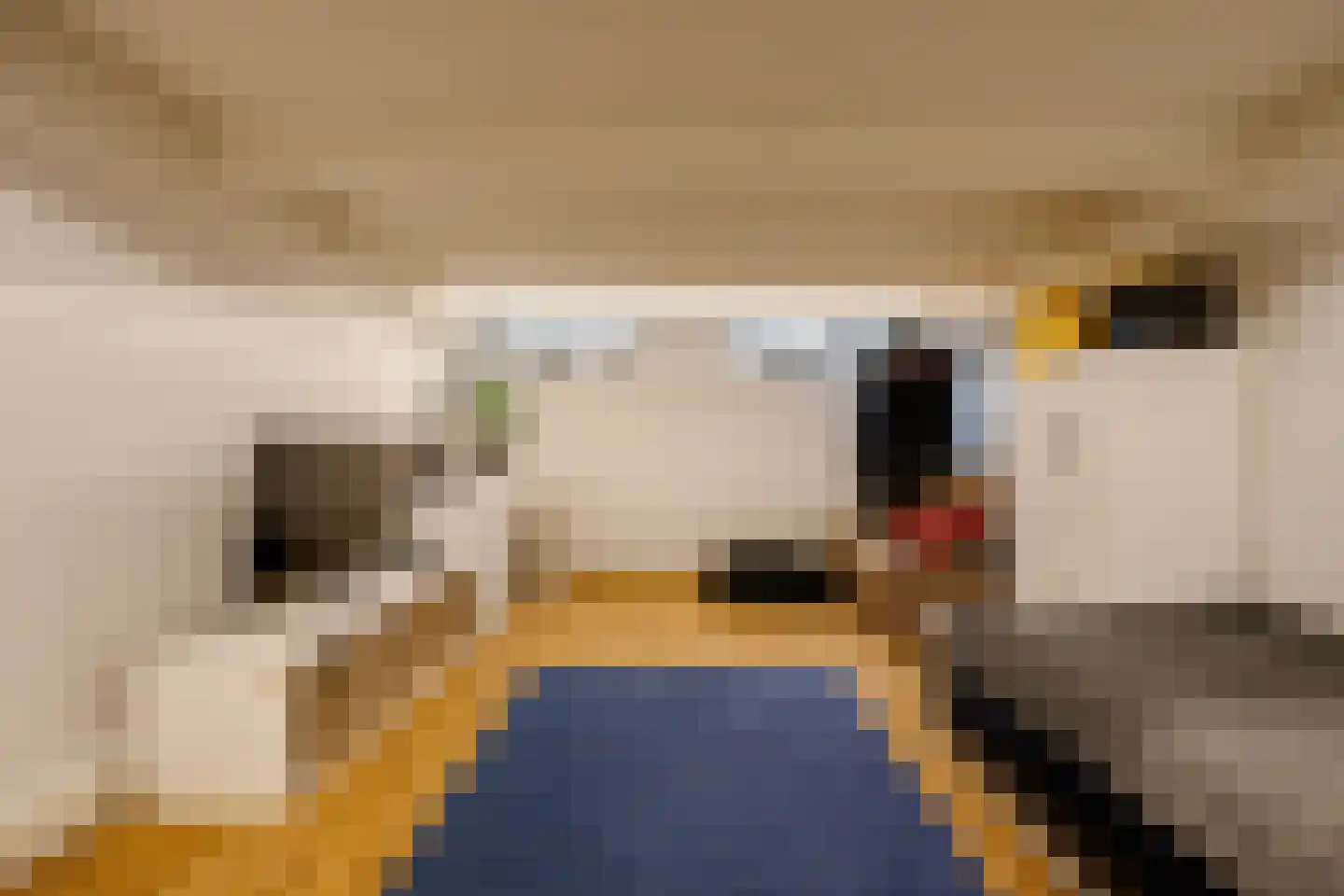 Frans van Mierisstraat 18 H Amsterdam thumbnail 47
