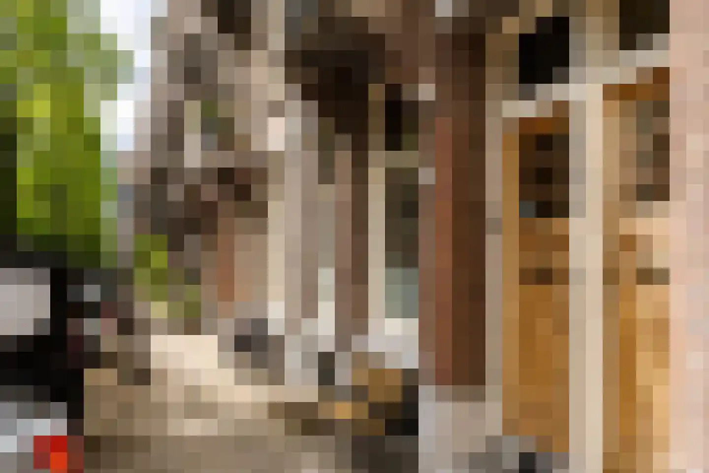 Frans van Mierisstraat 18 H Amsterdam thumbnail 52
