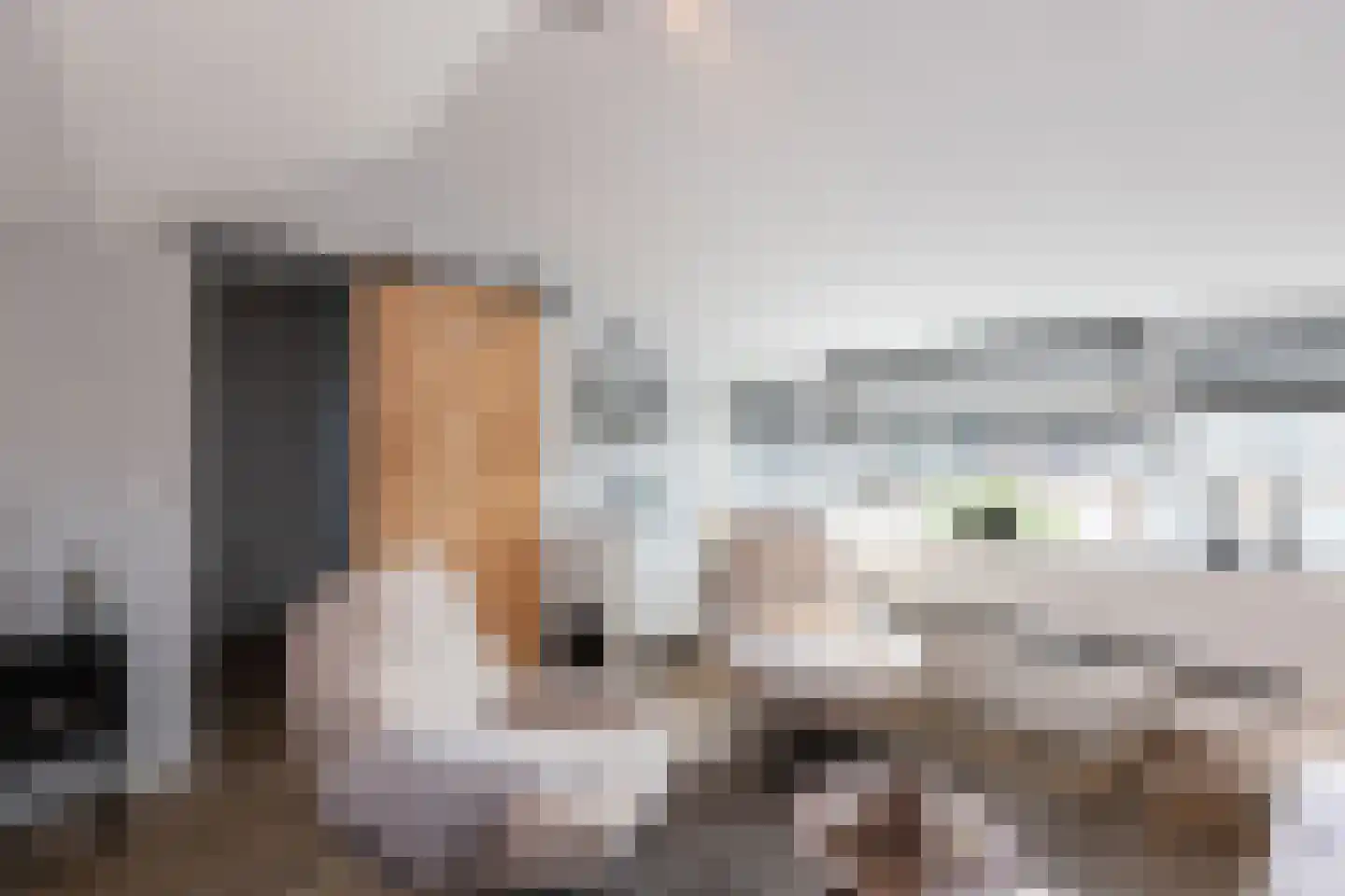 Frans van Mierisstraat 19 Papendrecht thumbnail 17