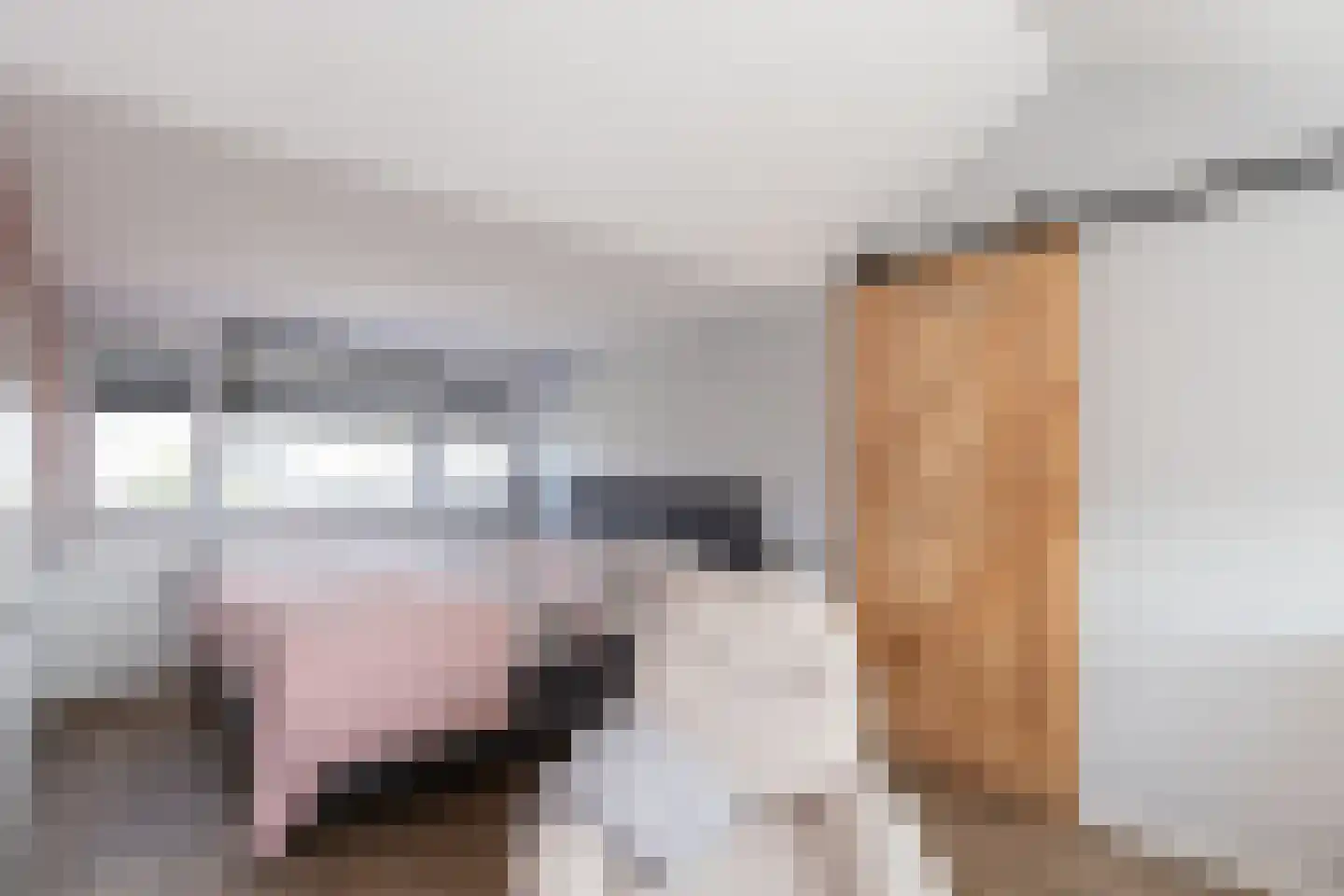 Frans van Mierisstraat 19 Papendrecht thumbnail 20