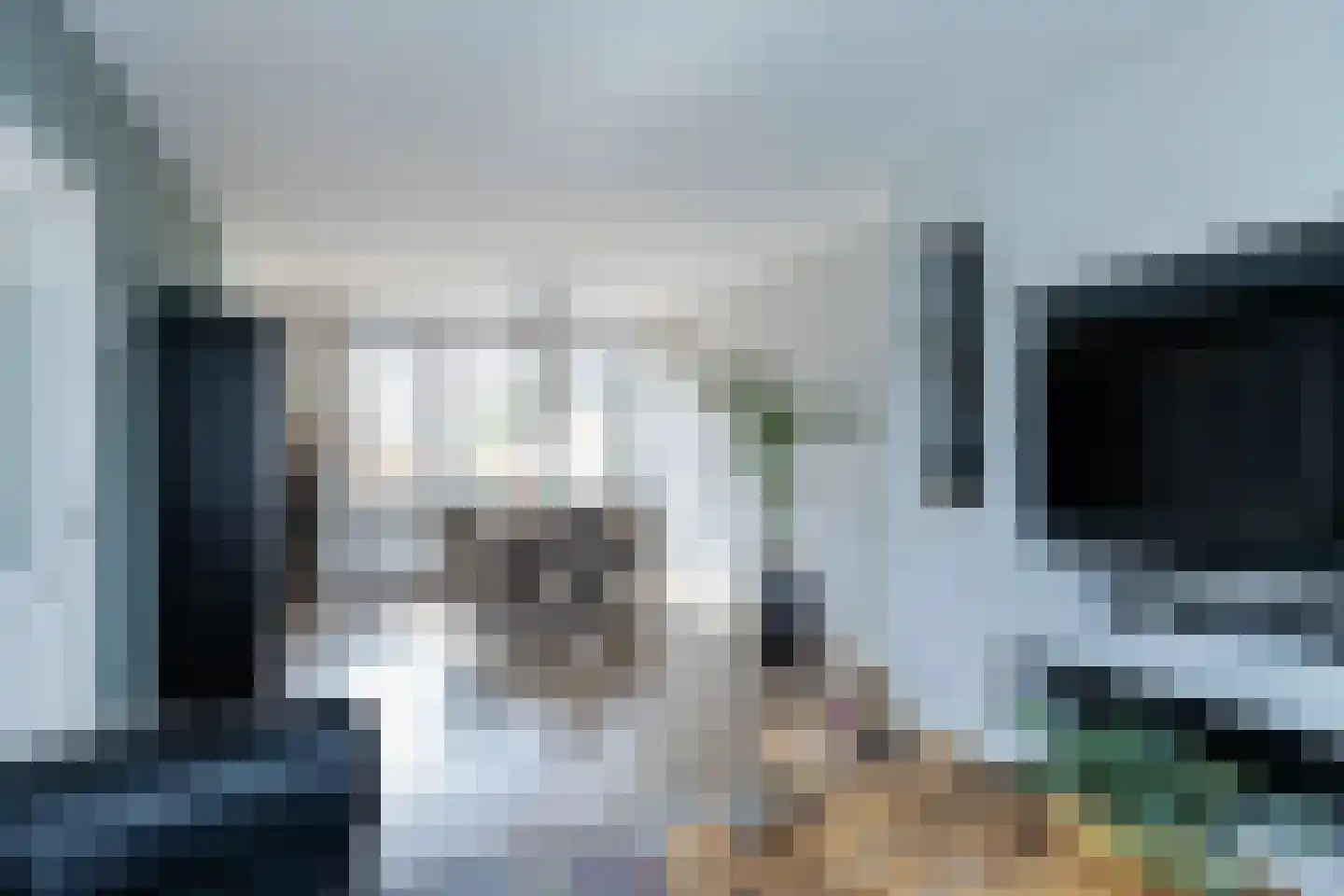 Frans van Mierisstraat 19 Papendrecht thumbnail 8