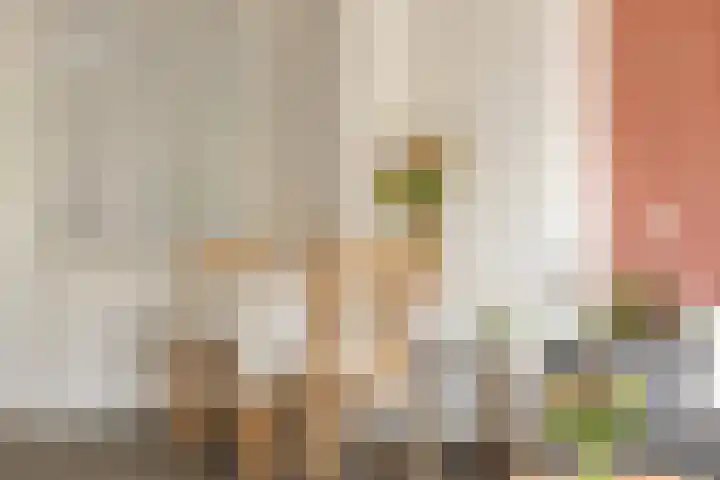 Frans van Mierisstraat 20 Groningen thumbnail 14