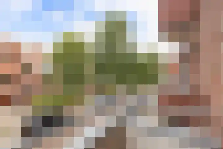 Frans van Mierisstraat 20 Groningen thumbnail 31