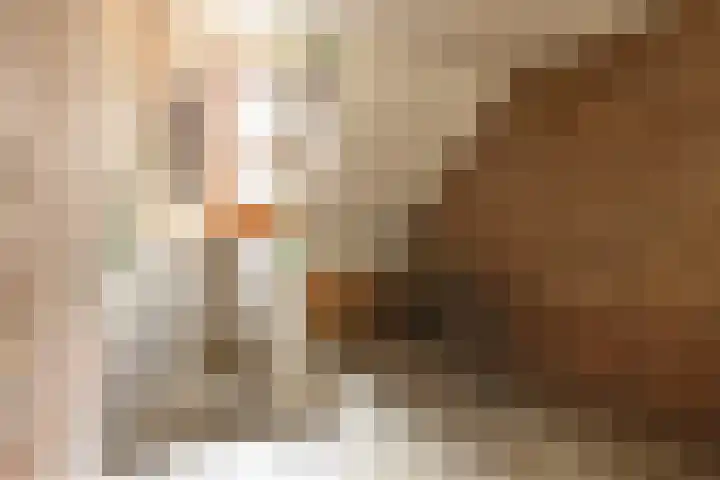 Frans van Mierisstraat 20 Groningen thumbnail 32