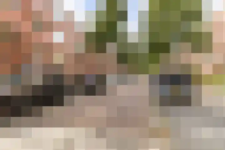 Frans van Mierisstraat 20 Groningen thumbnail 37