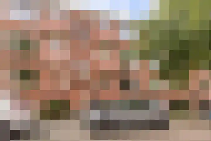 Frans van Mierisstraat 20 Groningen thumbnail 4