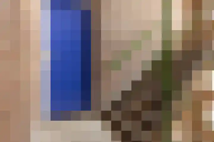 Frans van Mierisstraat 20 Groningen thumbnail 7