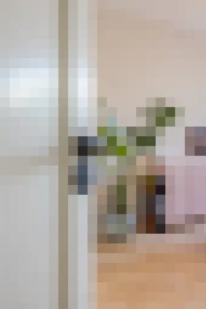 Frans van Mierisstraat 22 Leiden thumbnail 8