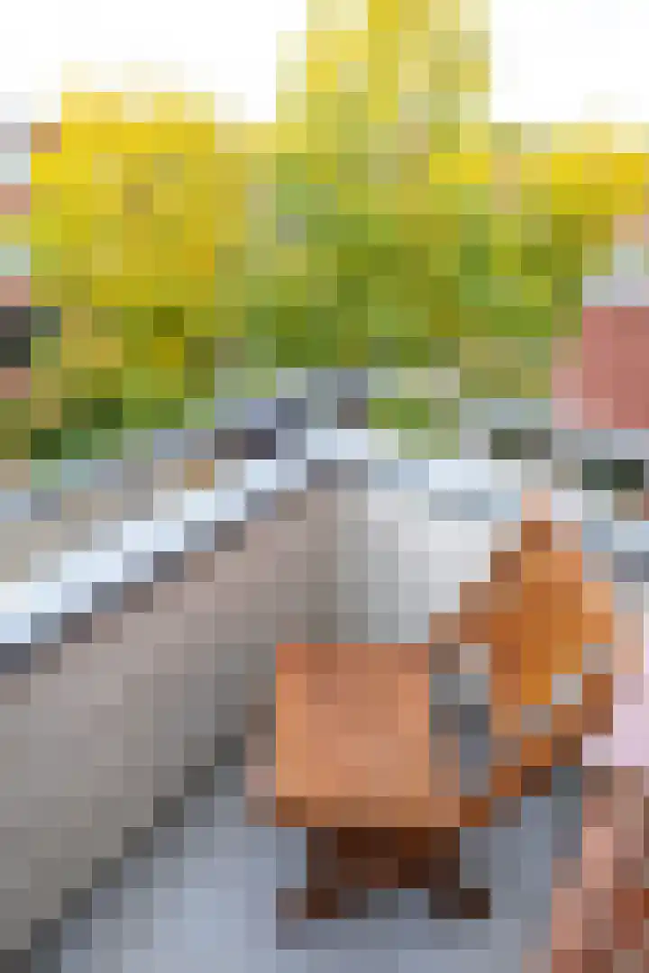 Frans van Mierisstraat 24 Groningen thumbnail 16