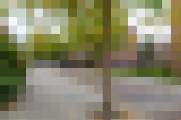 Frans van Mierisstraat 24 Groningen thumbnail 27