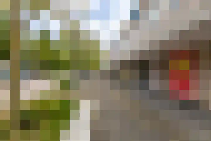 Frans van Mierisstraat 24 Groningen thumbnail 28