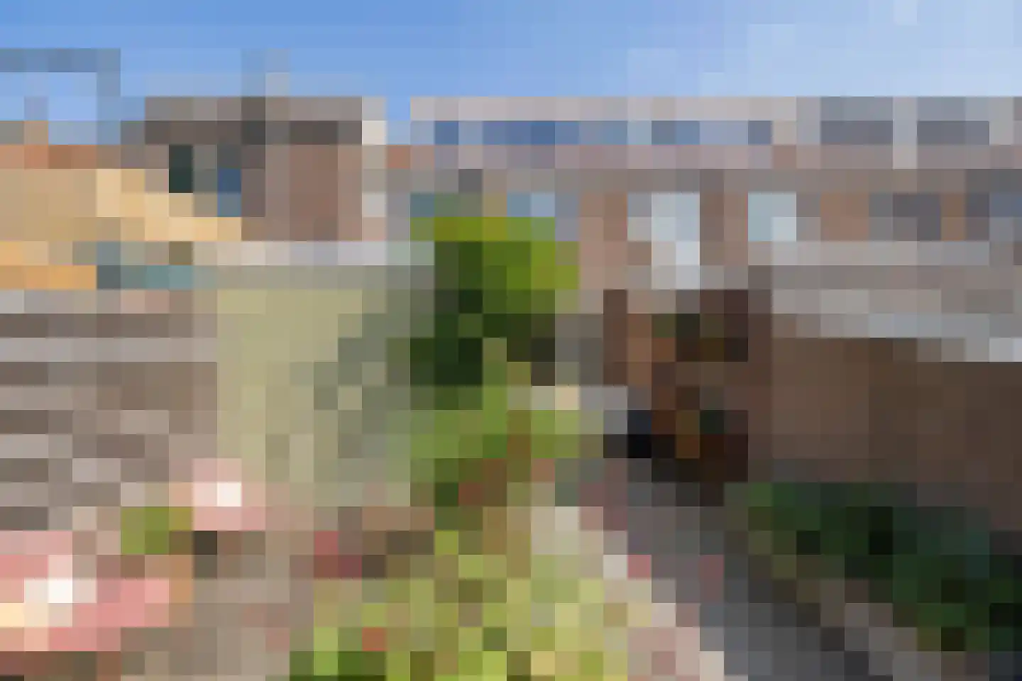 Frans van Mierisstraat 24 Leeuwarden thumbnail 36