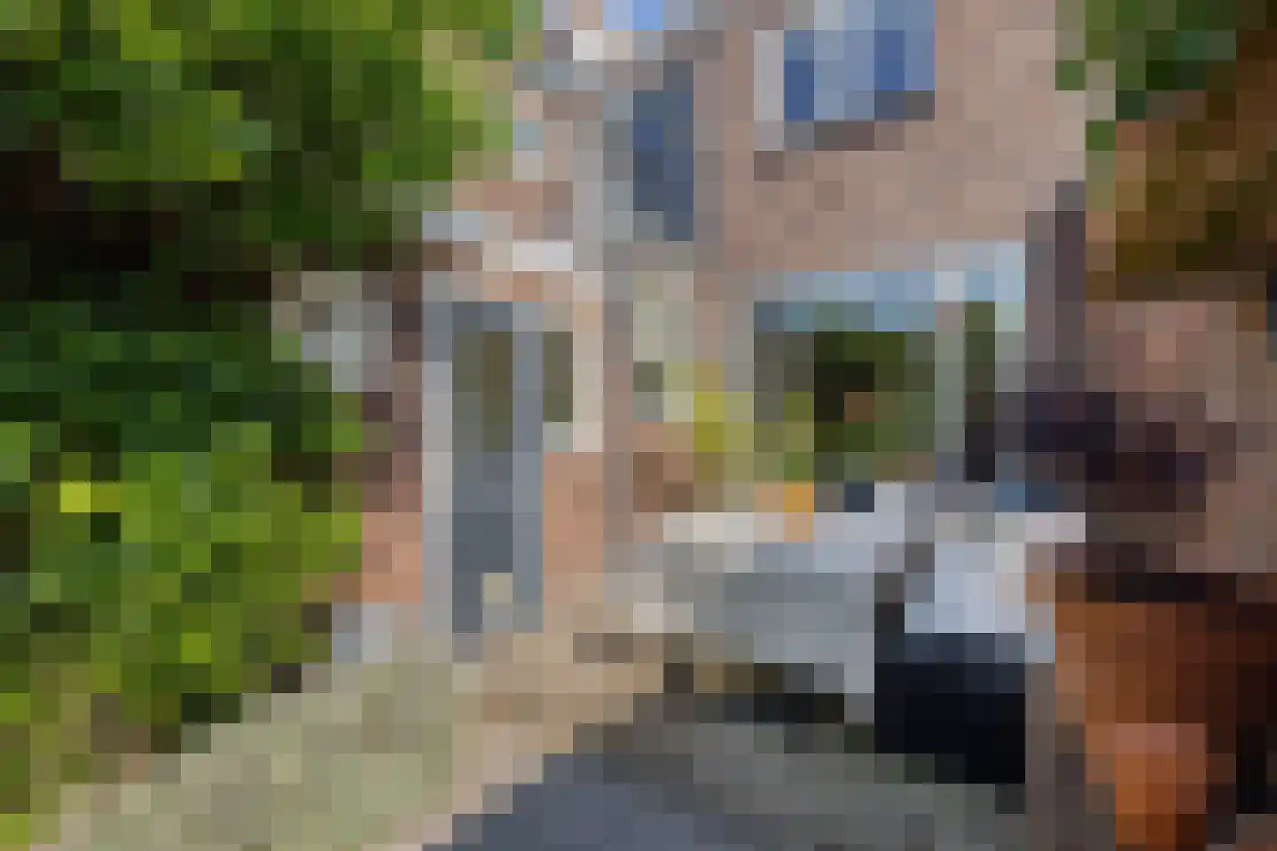 Frans van Mierisstraat 24 Leeuwarden thumbnail 38