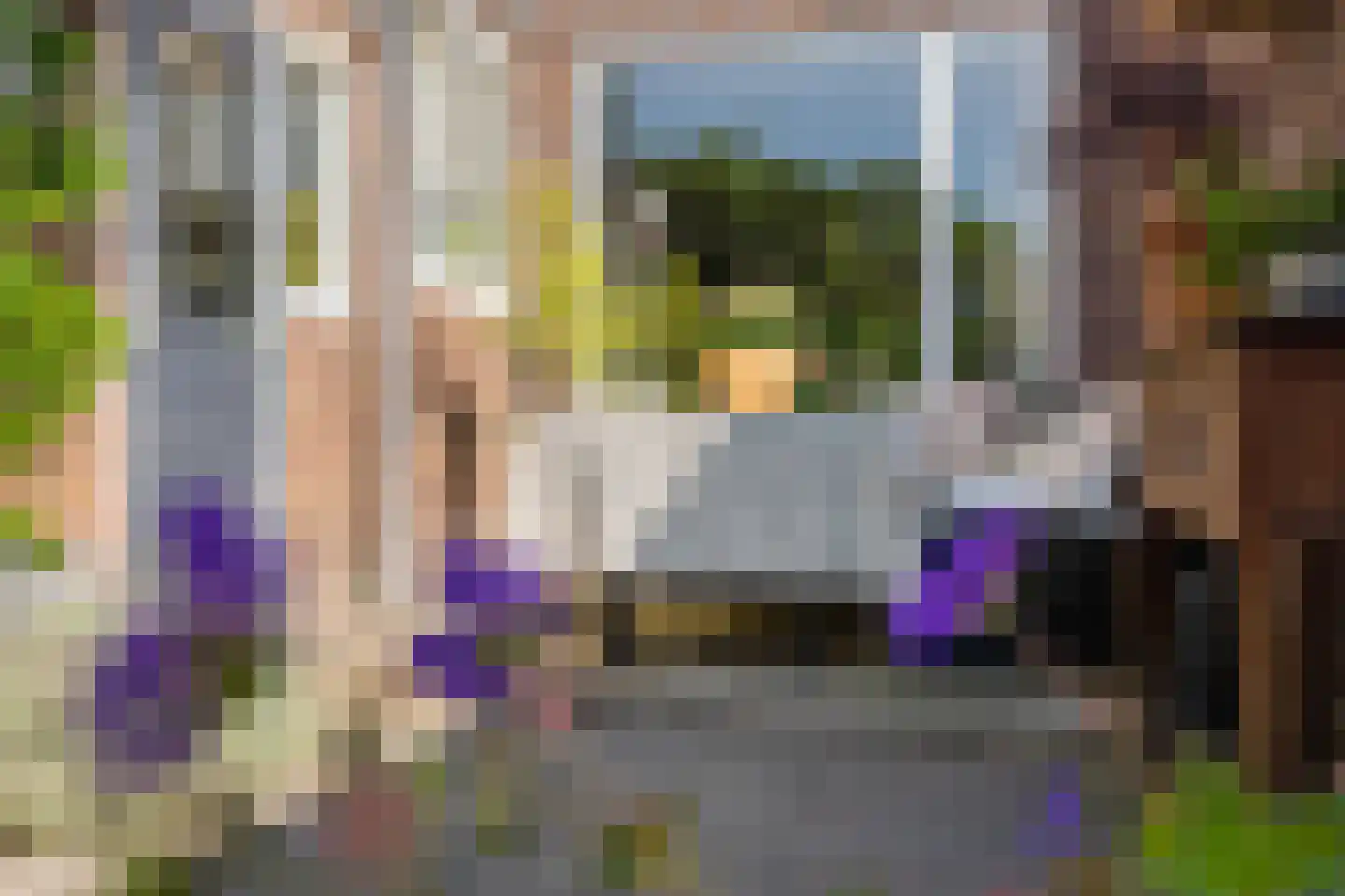 Frans van Mierisstraat 24 Leeuwarden thumbnail 39