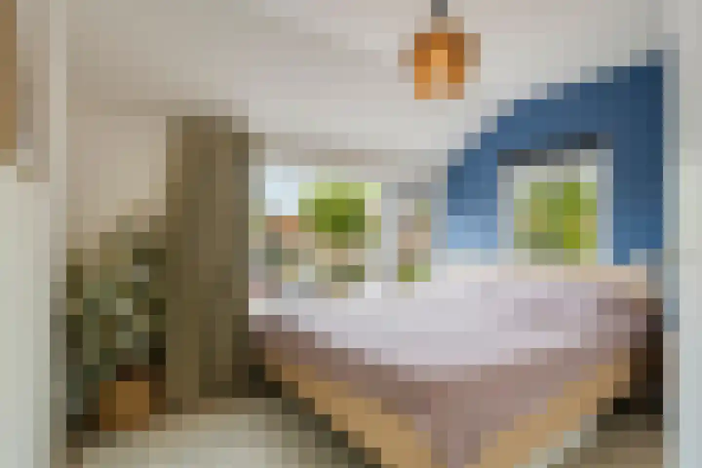 Frans van Mierisstraat 25 Deventer thumbnail 18