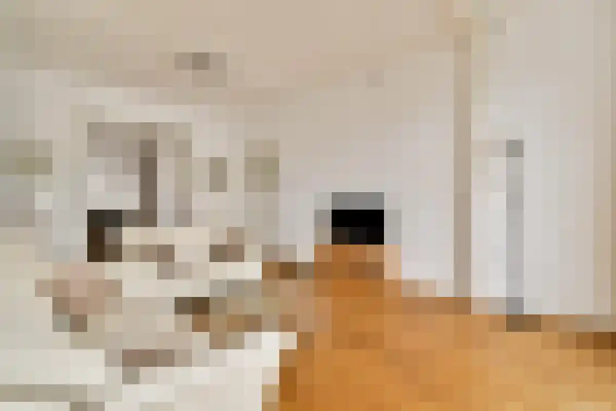 Frans van Mierisstraat 27 Amsterdam thumbnail 5