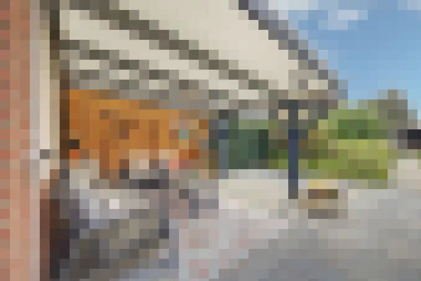 Frans van Mierisstraat 29 A Apeldoorn thumbnail 49