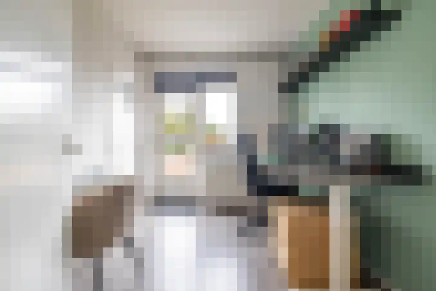 Frans van Mierisstraat 34 Groningen thumbnail 14