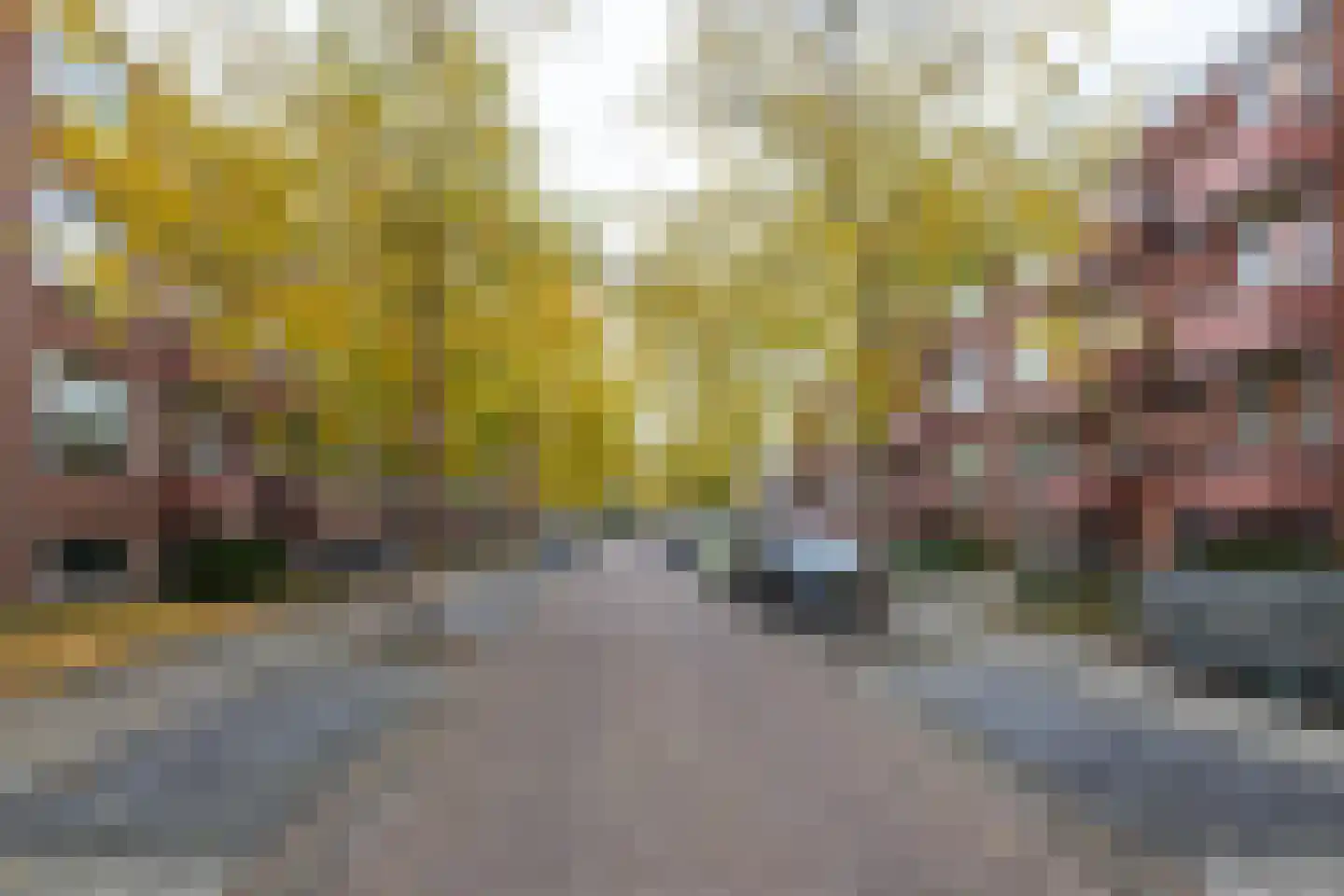 Frans van Mierisstraat 34 Groningen thumbnail 21