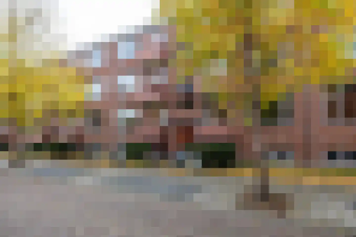 Frans van Mierisstraat 34 Groningen thumbnail 22