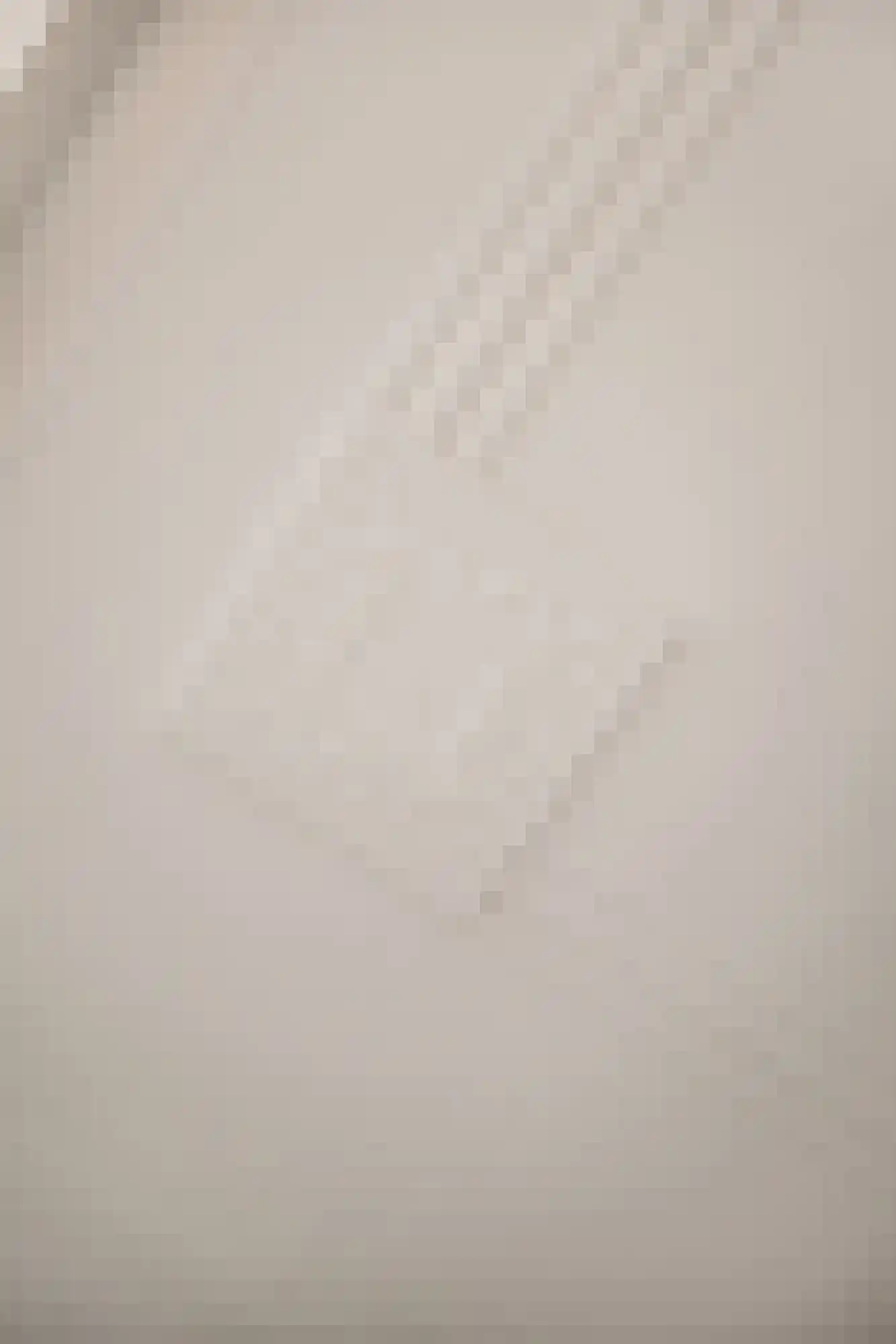 Frans van Mierisstraat 37 2 Amsterdam thumbnail 11