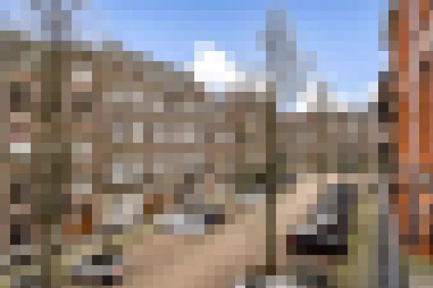 Frans van Mierisstraat 37 2 Amsterdam thumbnail 15