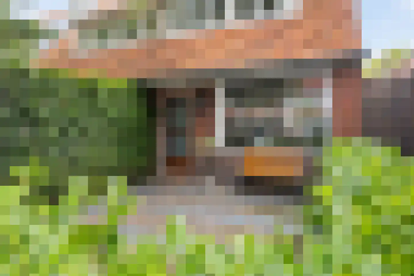 Frans van Mierisstraat 39 Leeuwarden thumbnail 5