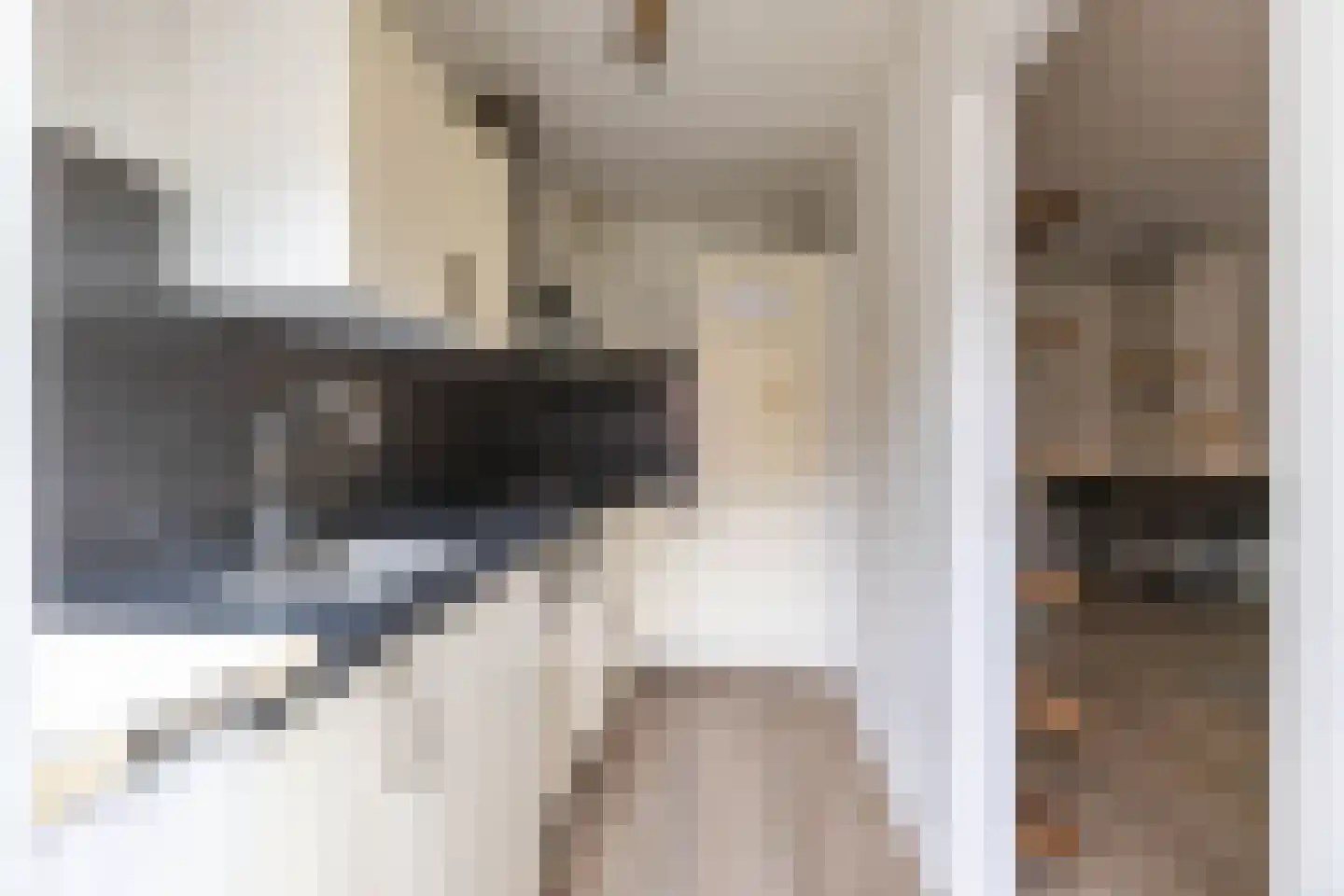 Frans van Mierisstraat 4 Groningen thumbnail 20
