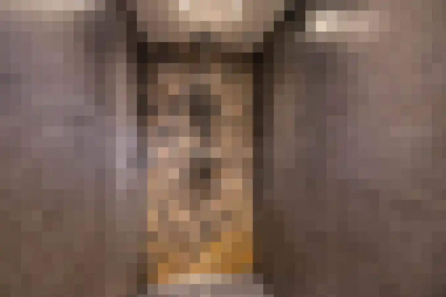 Frans van Mierisstraat 4 Groningen thumbnail 28