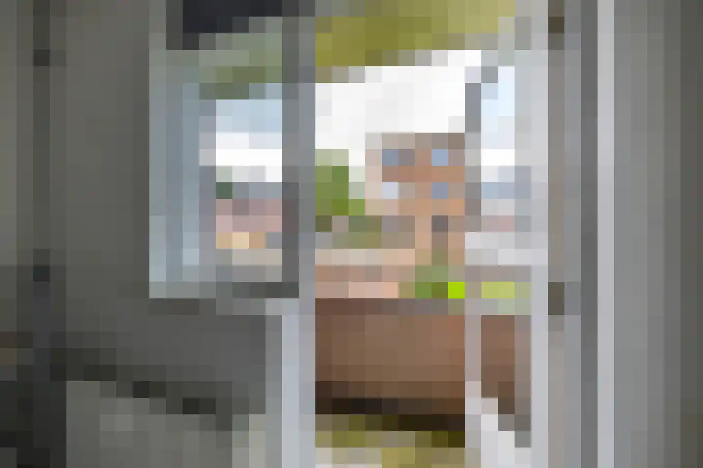 Frans van Mierisstraat 4 Groningen thumbnail 30