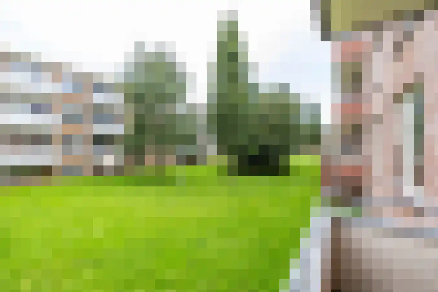 Frans van Mierisstraat 4 Groningen thumbnail 32