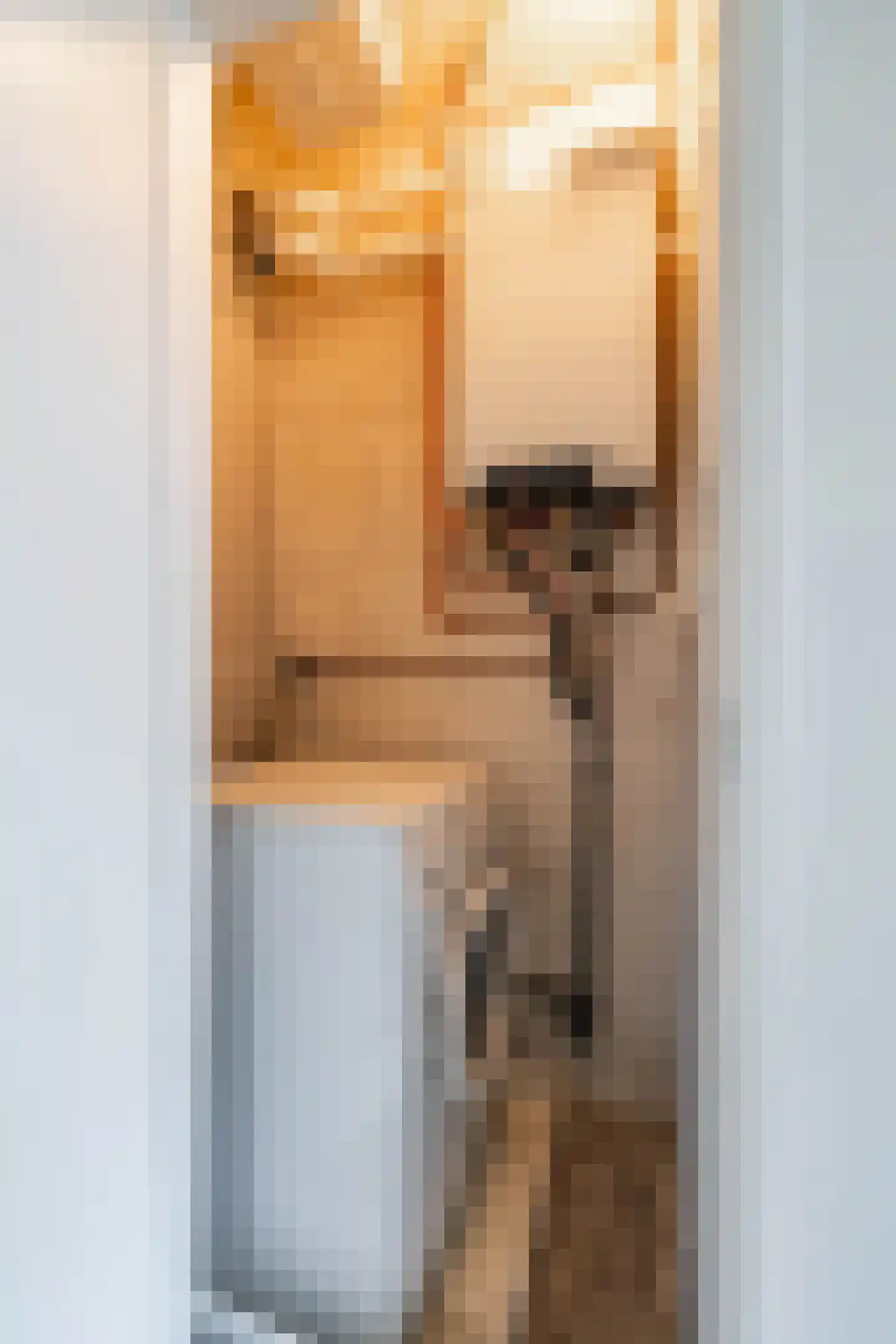 Frans van Mierisstraat 4 Groningen thumbnail 33