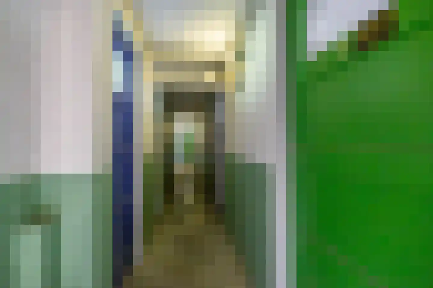 Frans van Mierisstraat 4 Groningen thumbnail 34