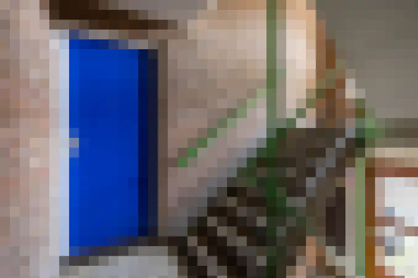 Frans van Mierisstraat 4 Groningen thumbnail 7
